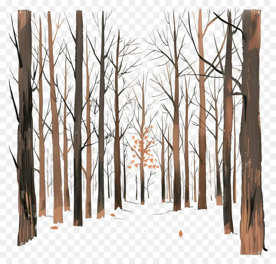 Bosque De Invierno，Bosque Oscuro PNG