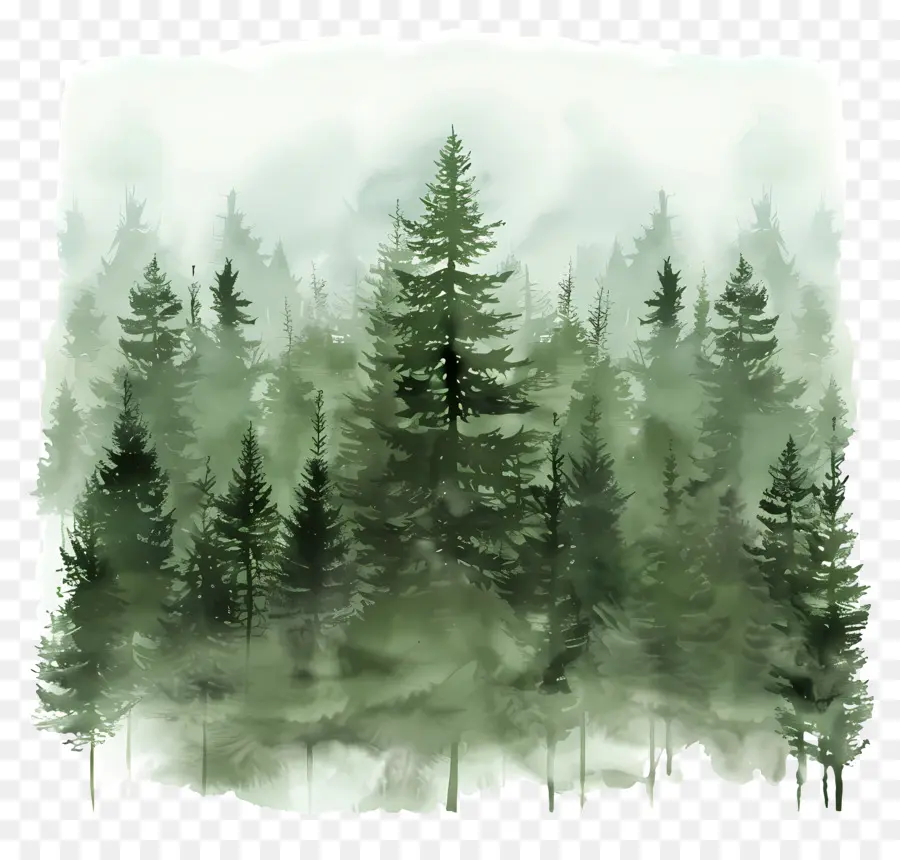 Bosque Denso，Bosque PNG