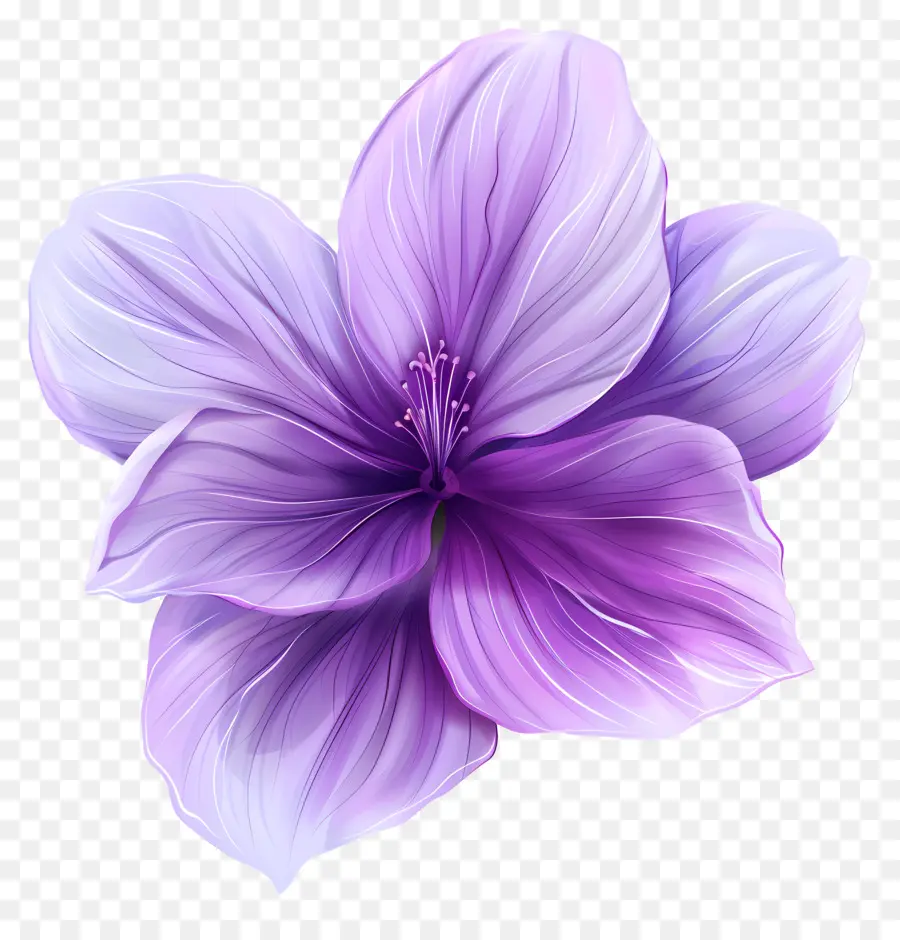 Flor De Violeta，Flor Morada PNG