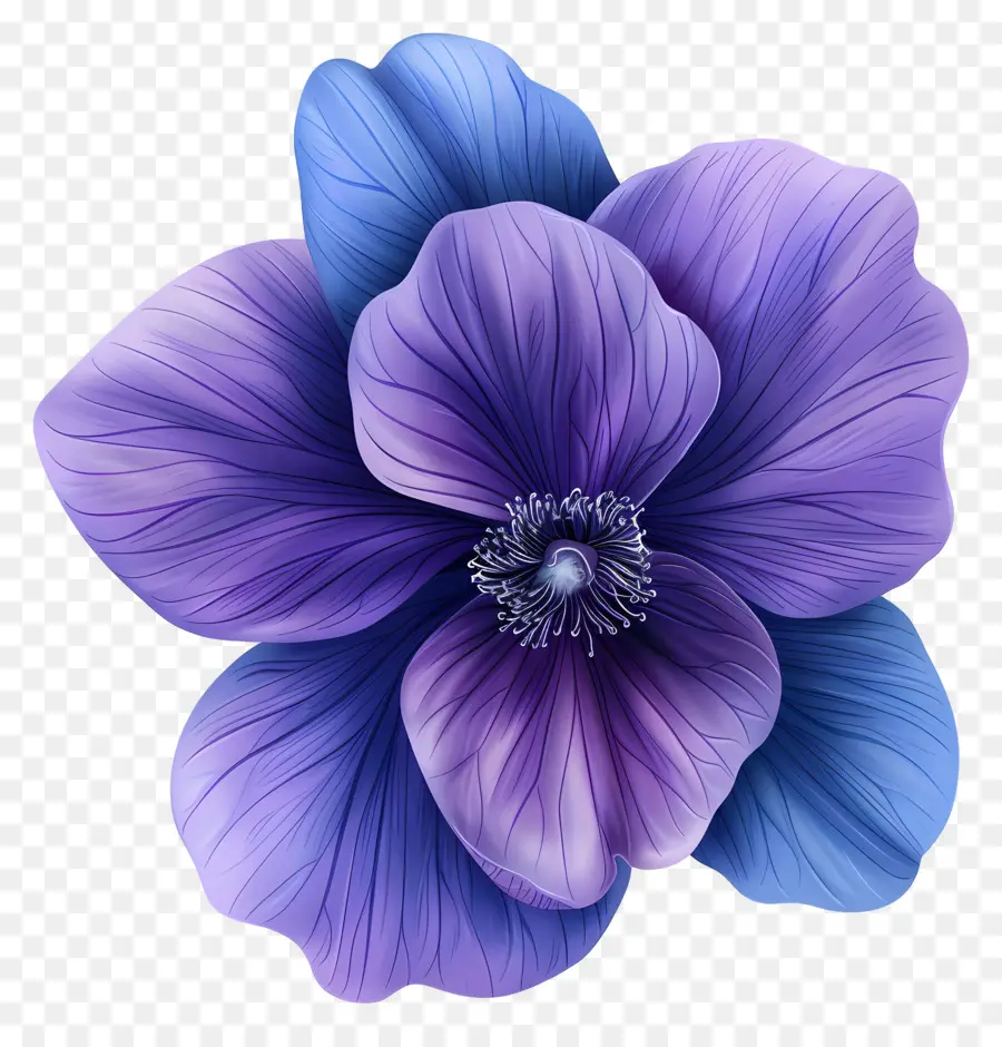 Flor De Violeta，Anémona De Flor PNG