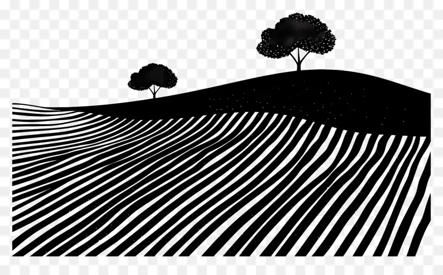 Campos De Campo，Paisaje En Blanco Y Negro PNG