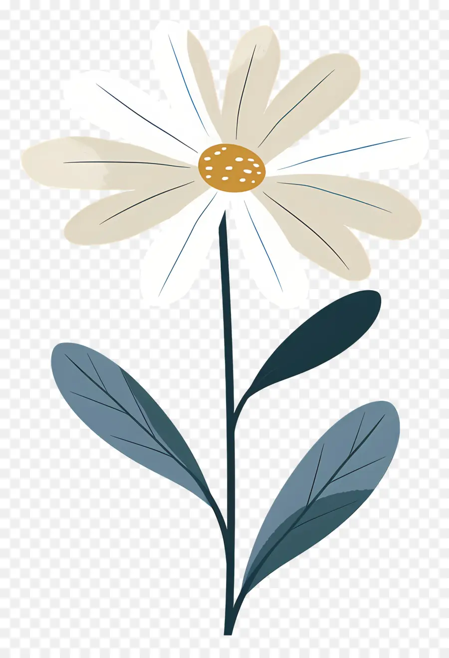 Daisy Blanco，Flor Blanca PNG