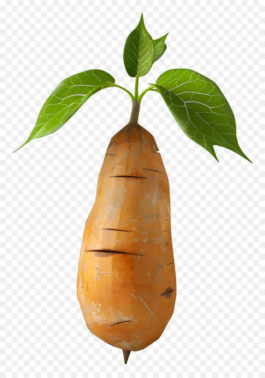 ñame，Dulce De Patata PNG