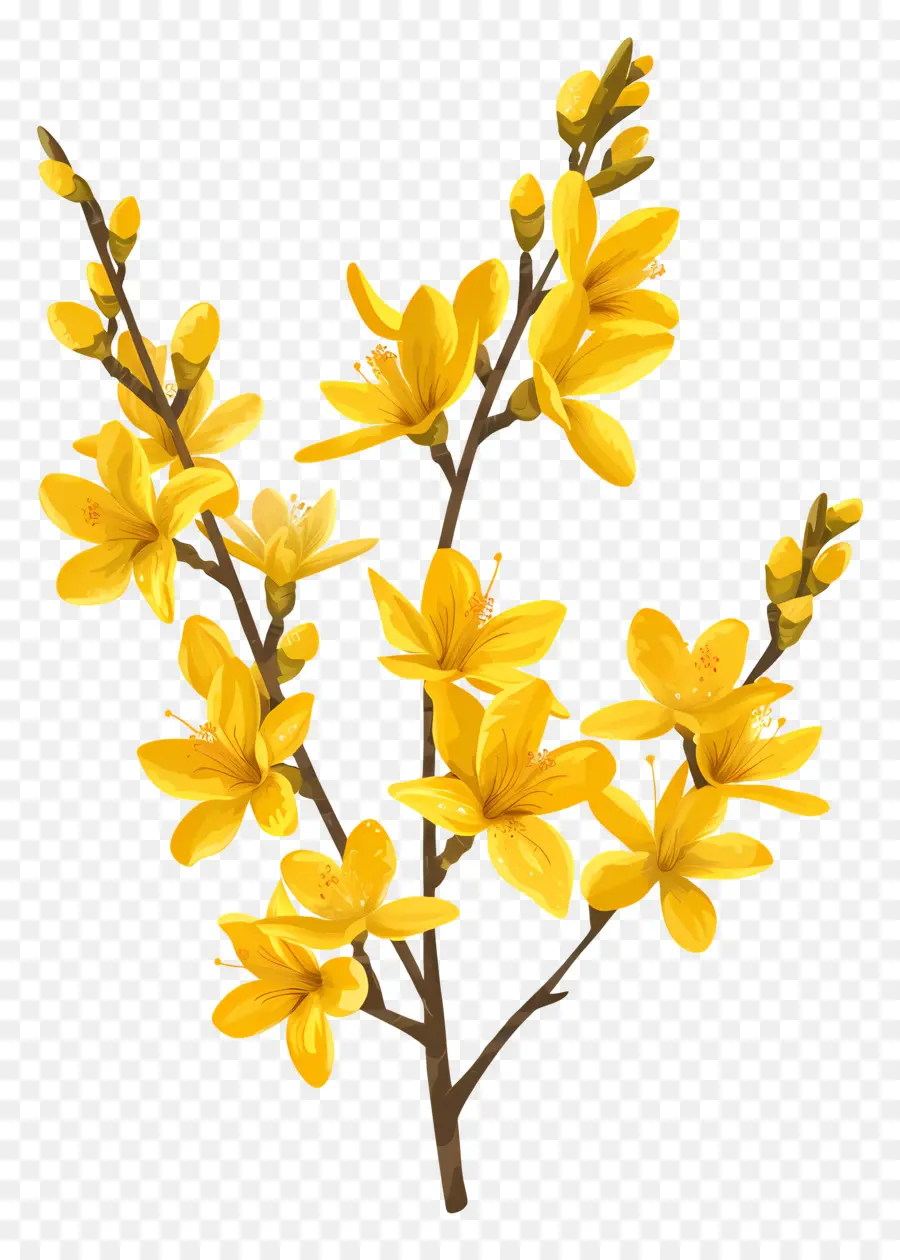 La Forsitia，Flores Amarillas PNG