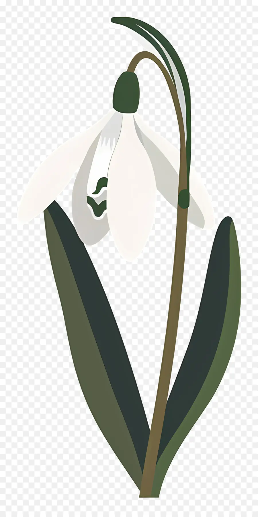 Flor De Campanilla Blanca，Florecer PNG