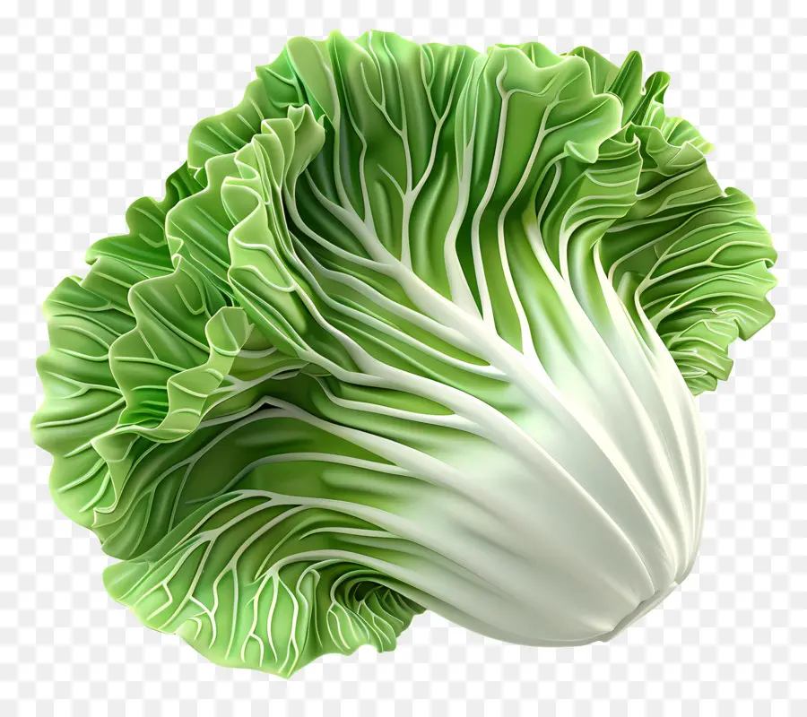 Repollo Chino，Lechuga PNG