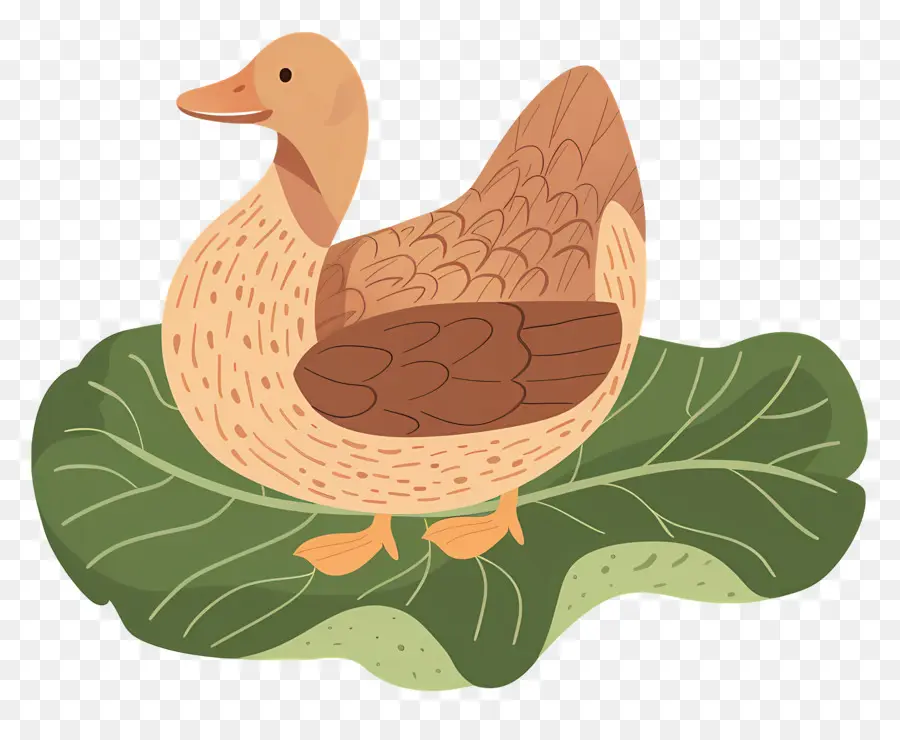 Pato De Dibujos Animados，Pato PNG