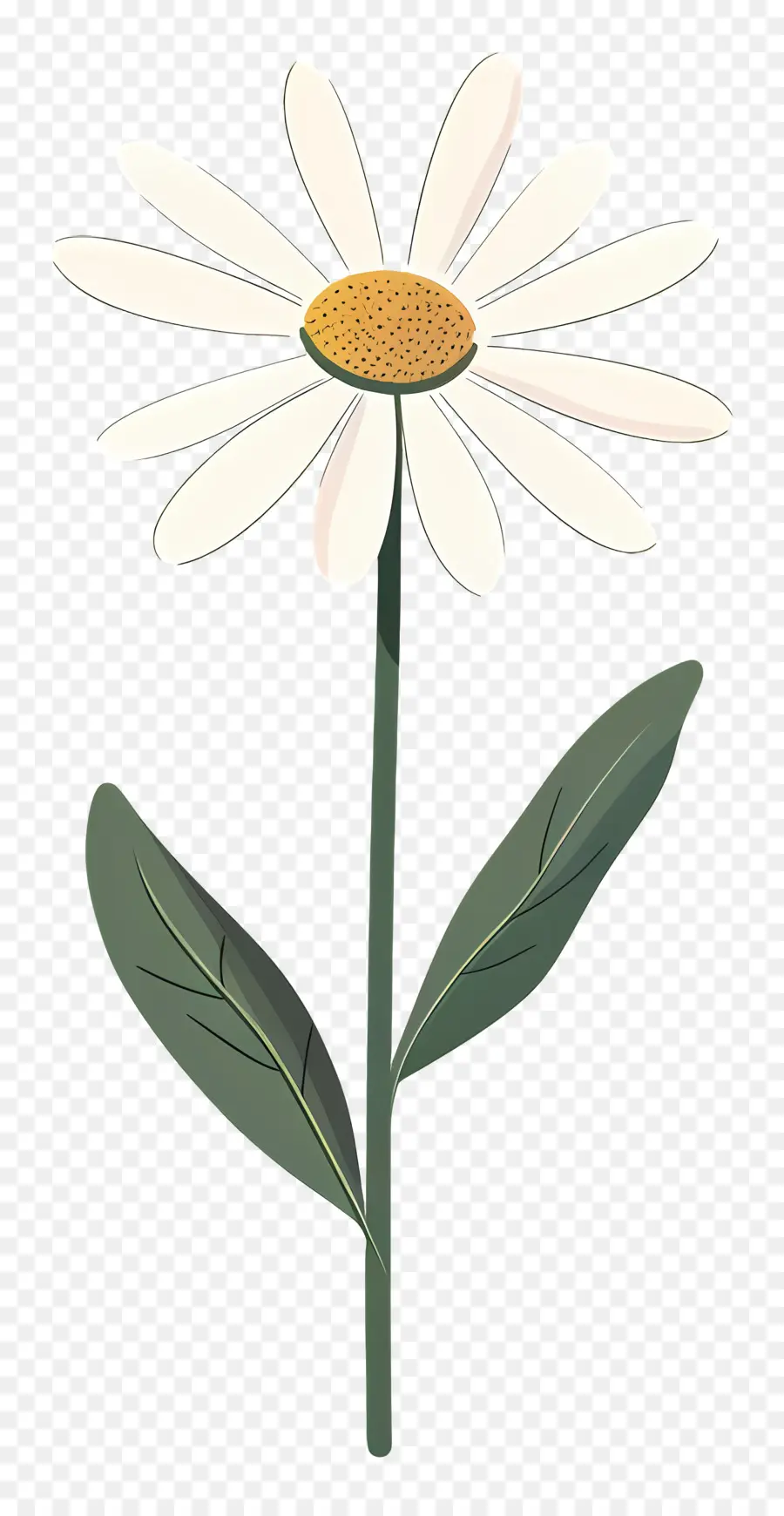 Daisy Blanco，Margarita PNG