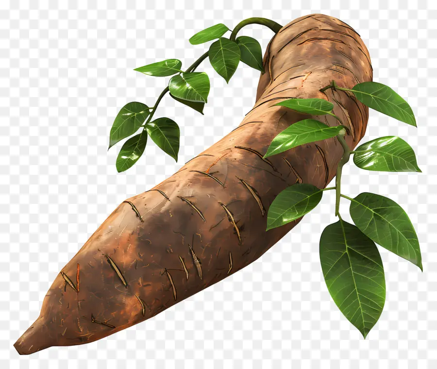 ñame，Dulce De Batata PNG