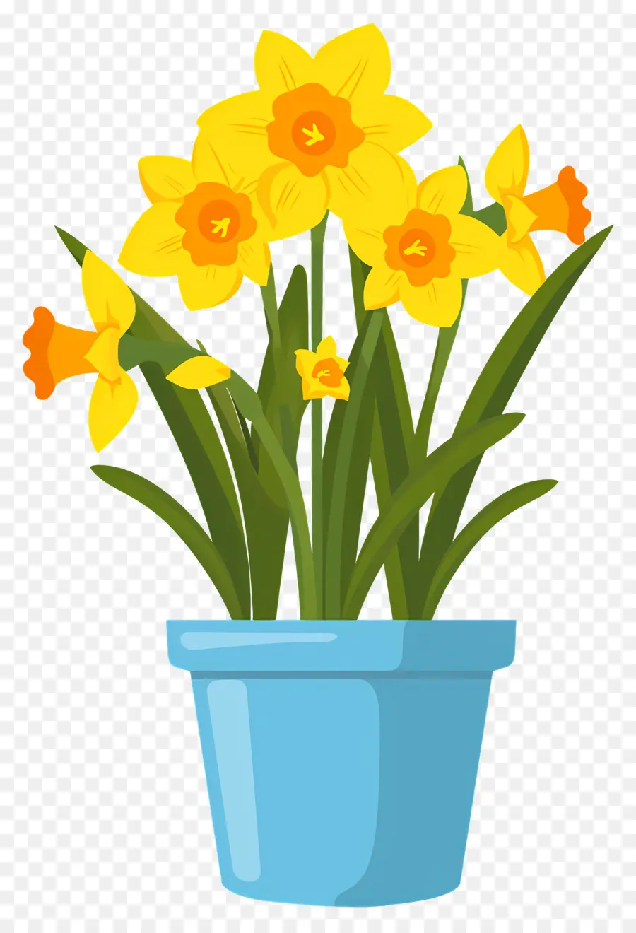 Flores Amarillas，Los Narcisos PNG