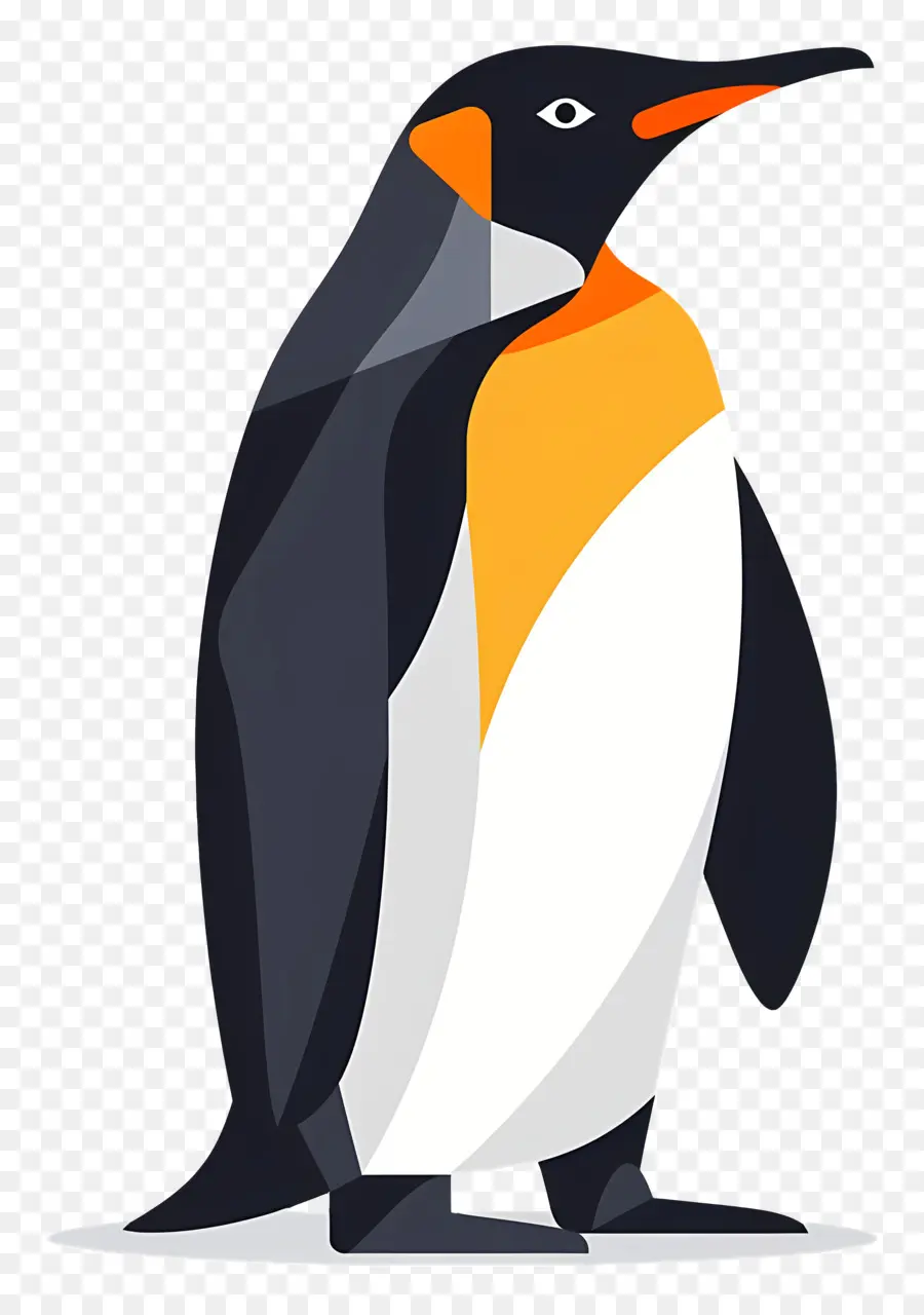 Pingüino，Antarctica PNG