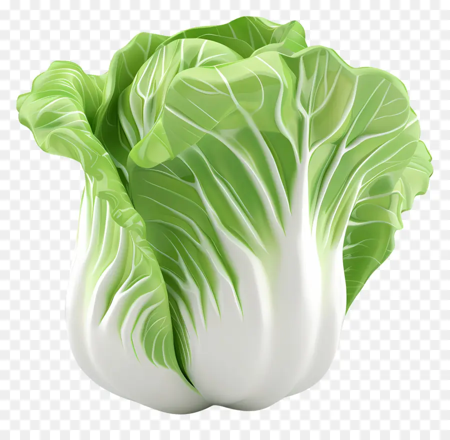 Repollo Chino，Hoja De Lechuga PNG