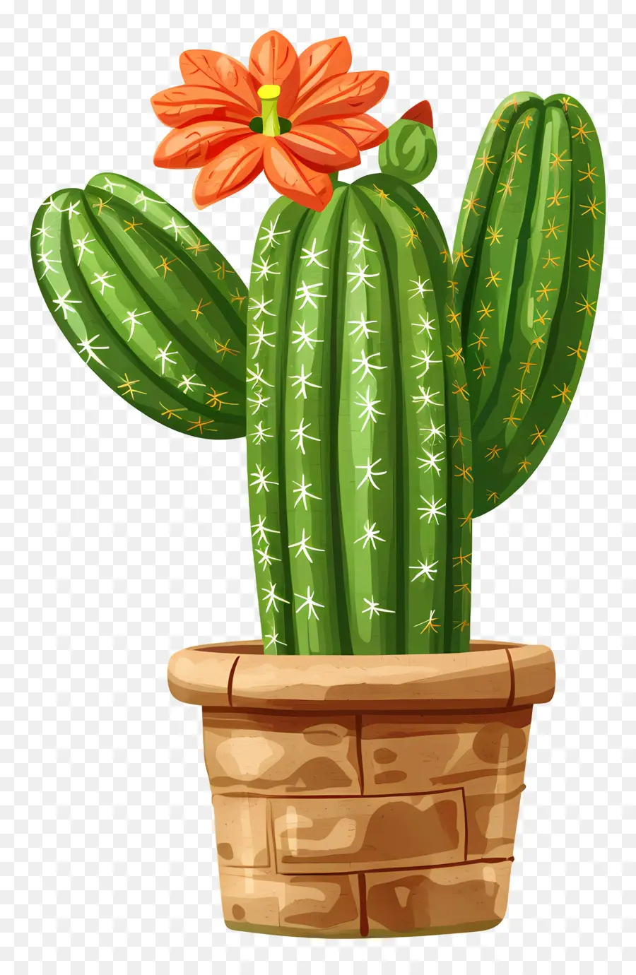 Cactus，Planta De Cactus PNG