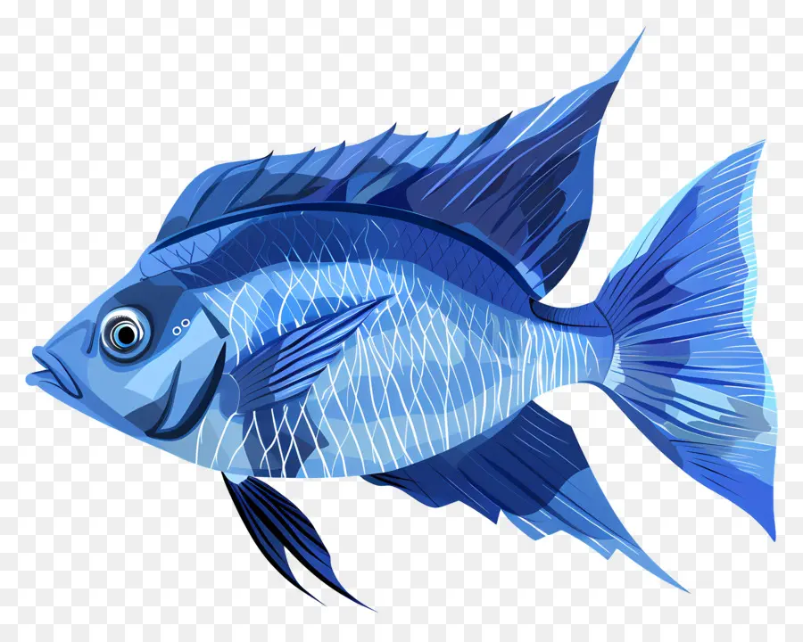 Pez，Pescado Azul PNG