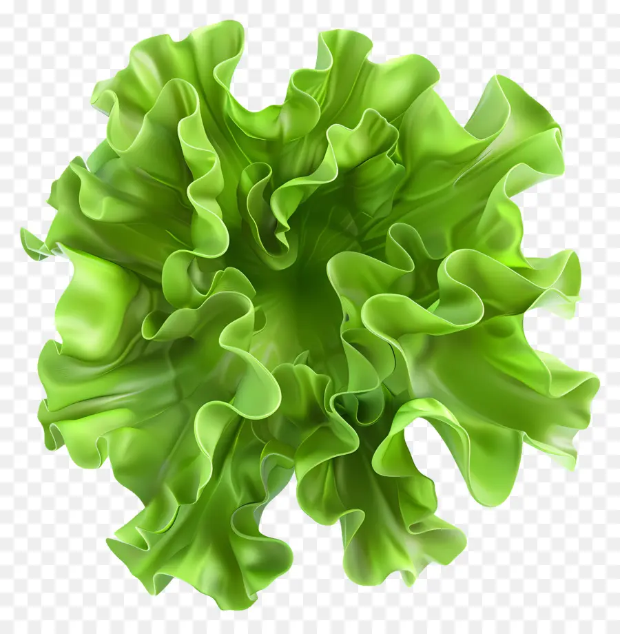 Lechuga，Planta De Hoja Verde PNG