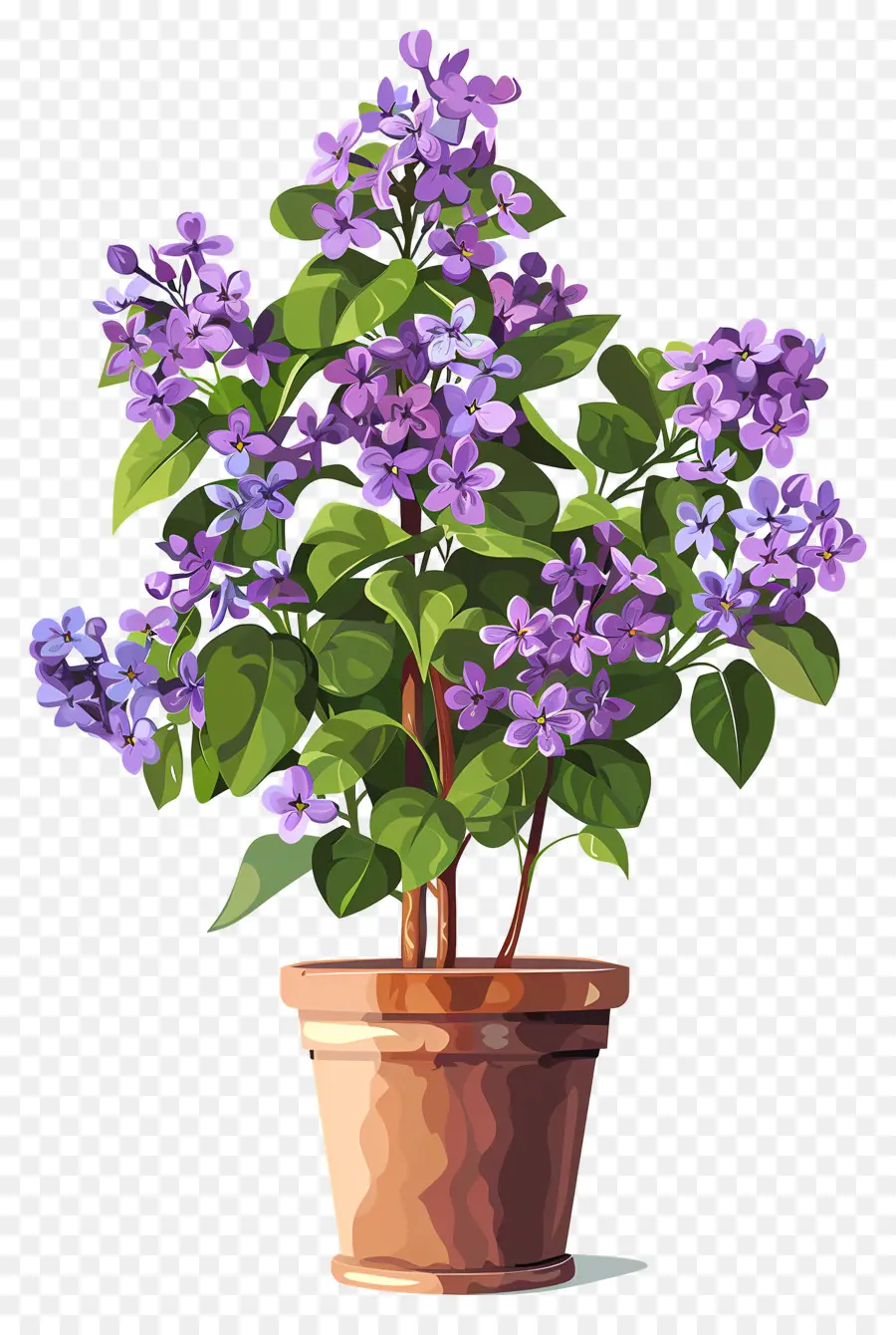 Flores De Color Lila，Planta En Maceta PNG