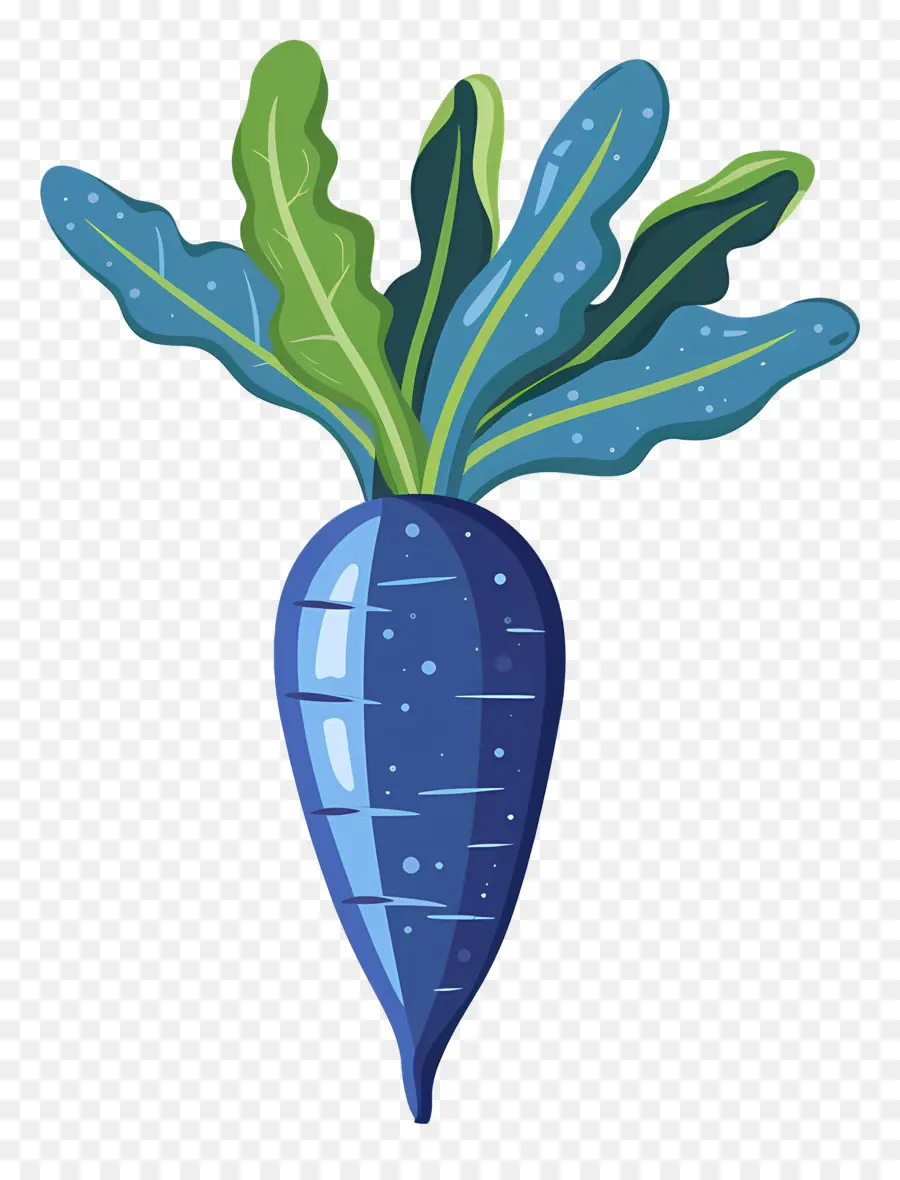 Zanahoria，Los Vegetales De Hojas PNG