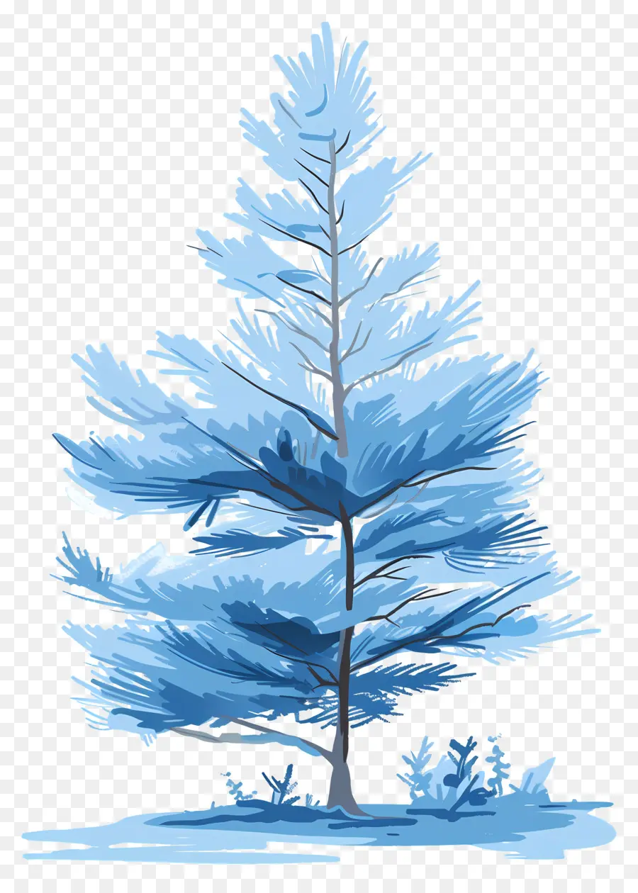 árbol De Ciprés，Pino Azul PNG