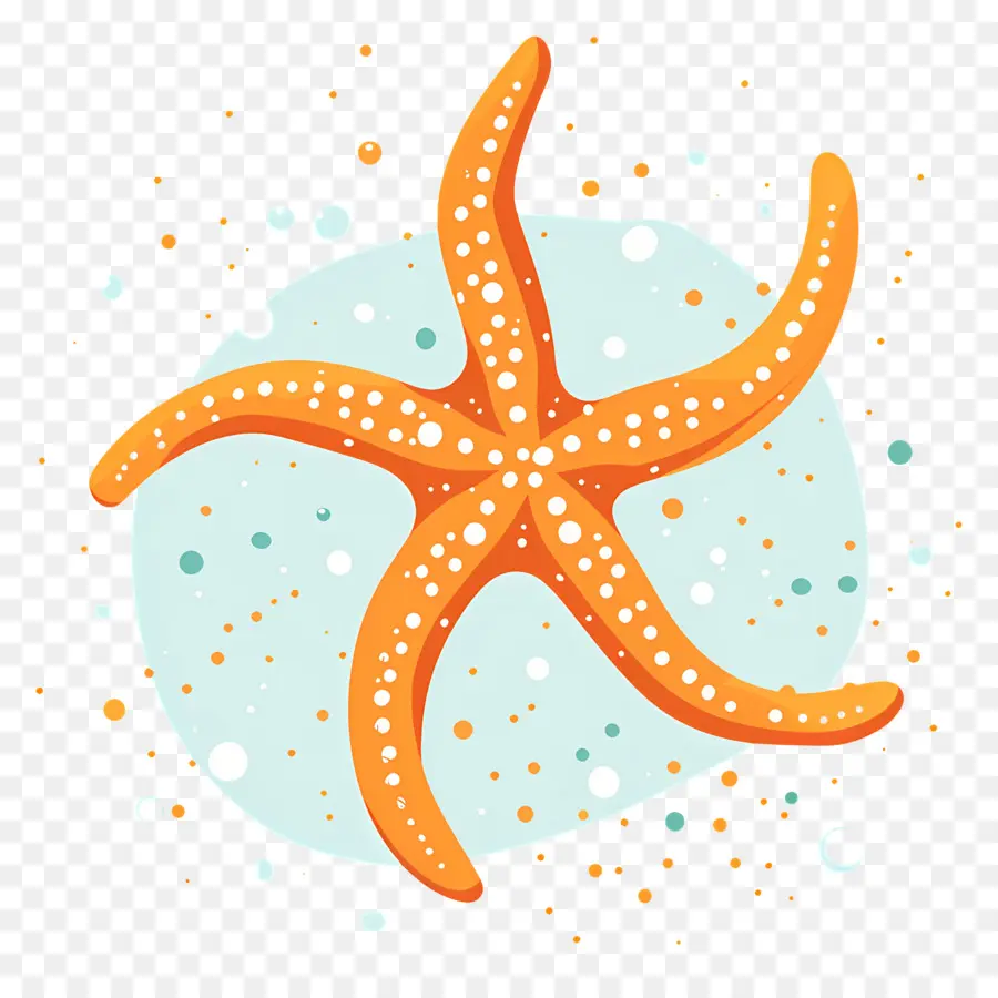 Estrella De Mar，Acuáticos PNG