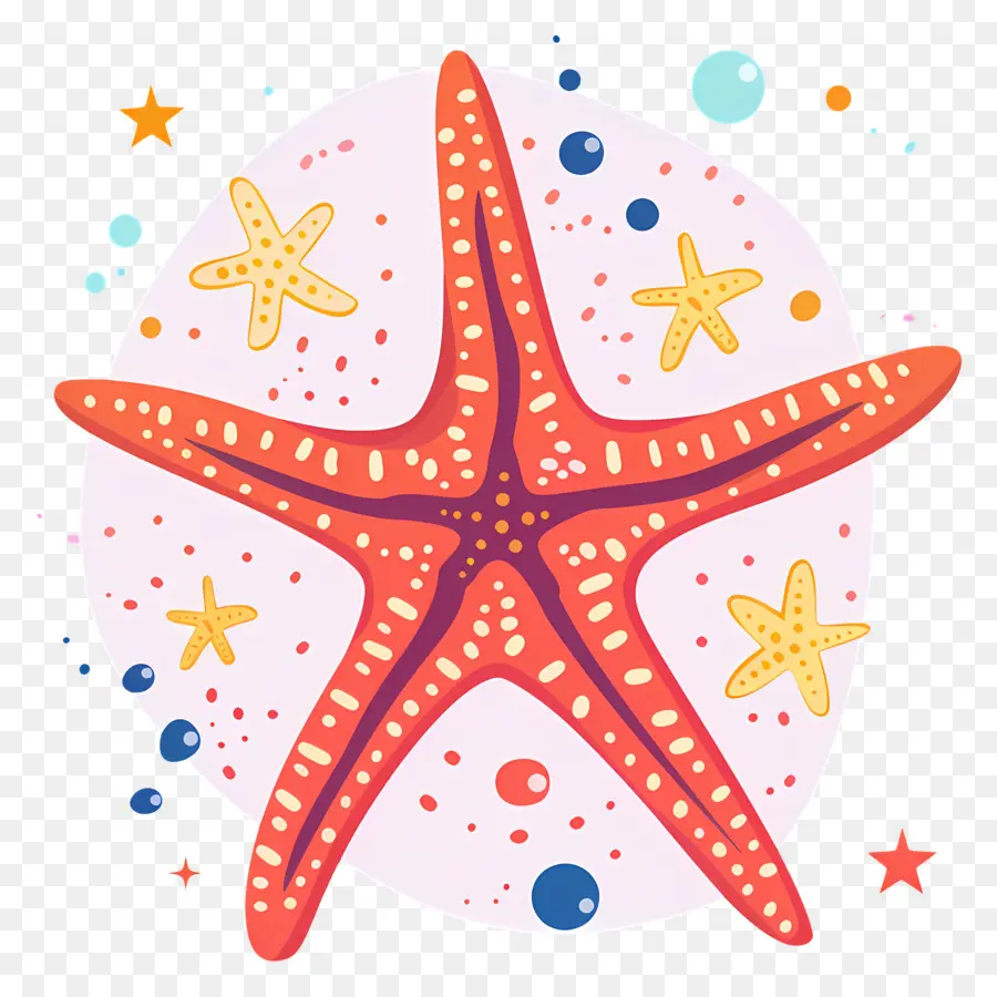 Estrella De Mar，Colorido PNG