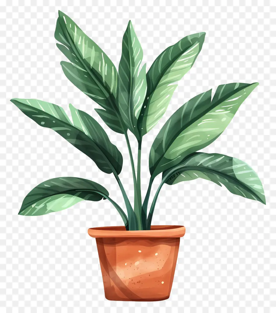 Planta，Pintura De Plantas En Macetas PNG