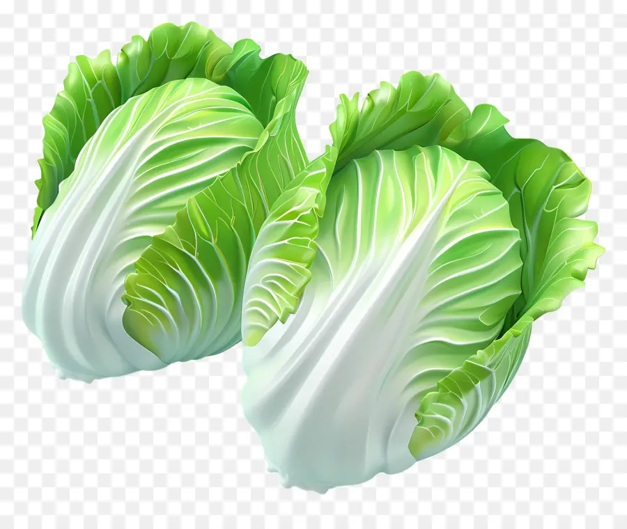 Repollo Chino，Lechuga PNG