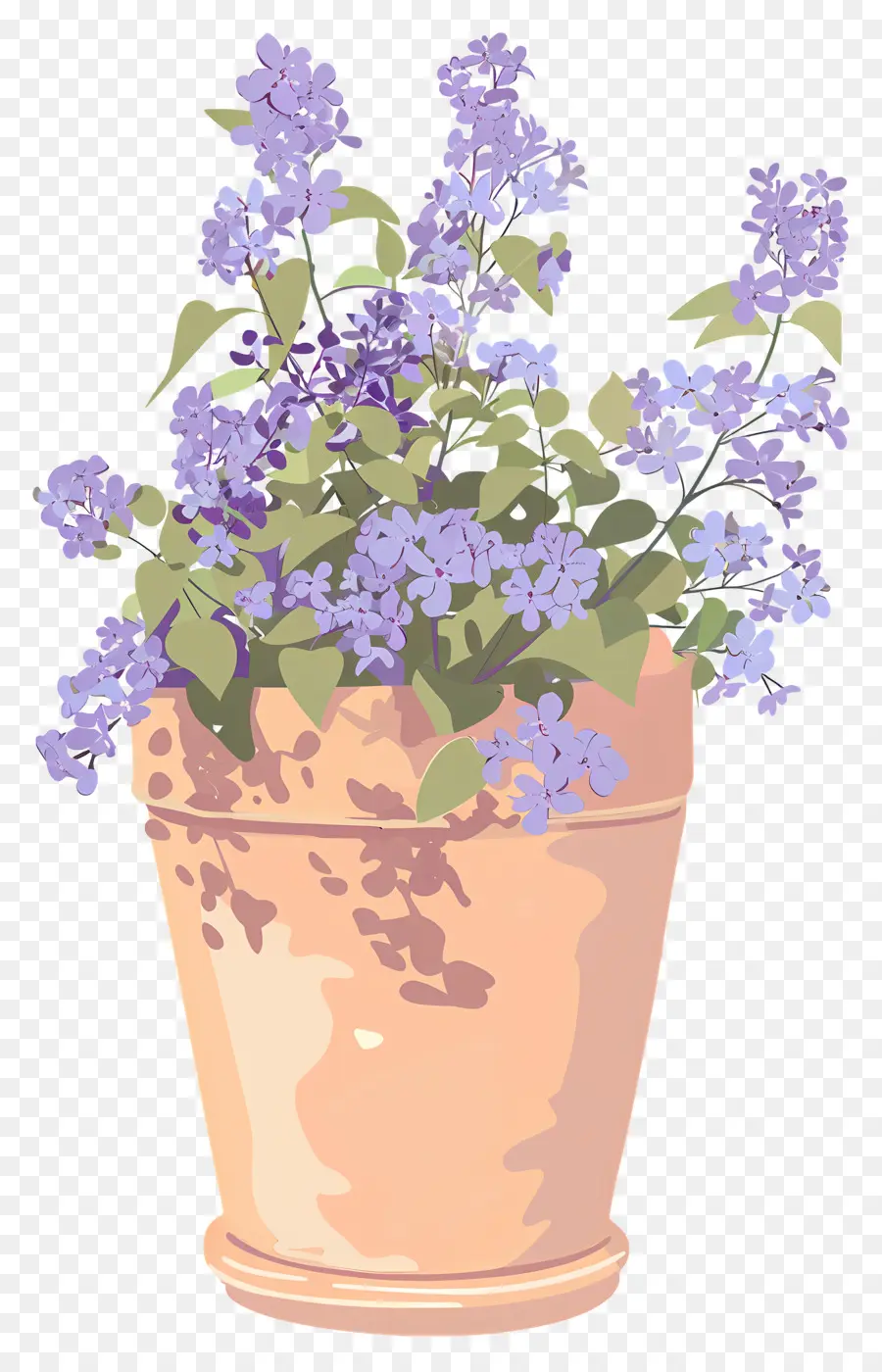 Flores De Color Lila，Lilas PNG