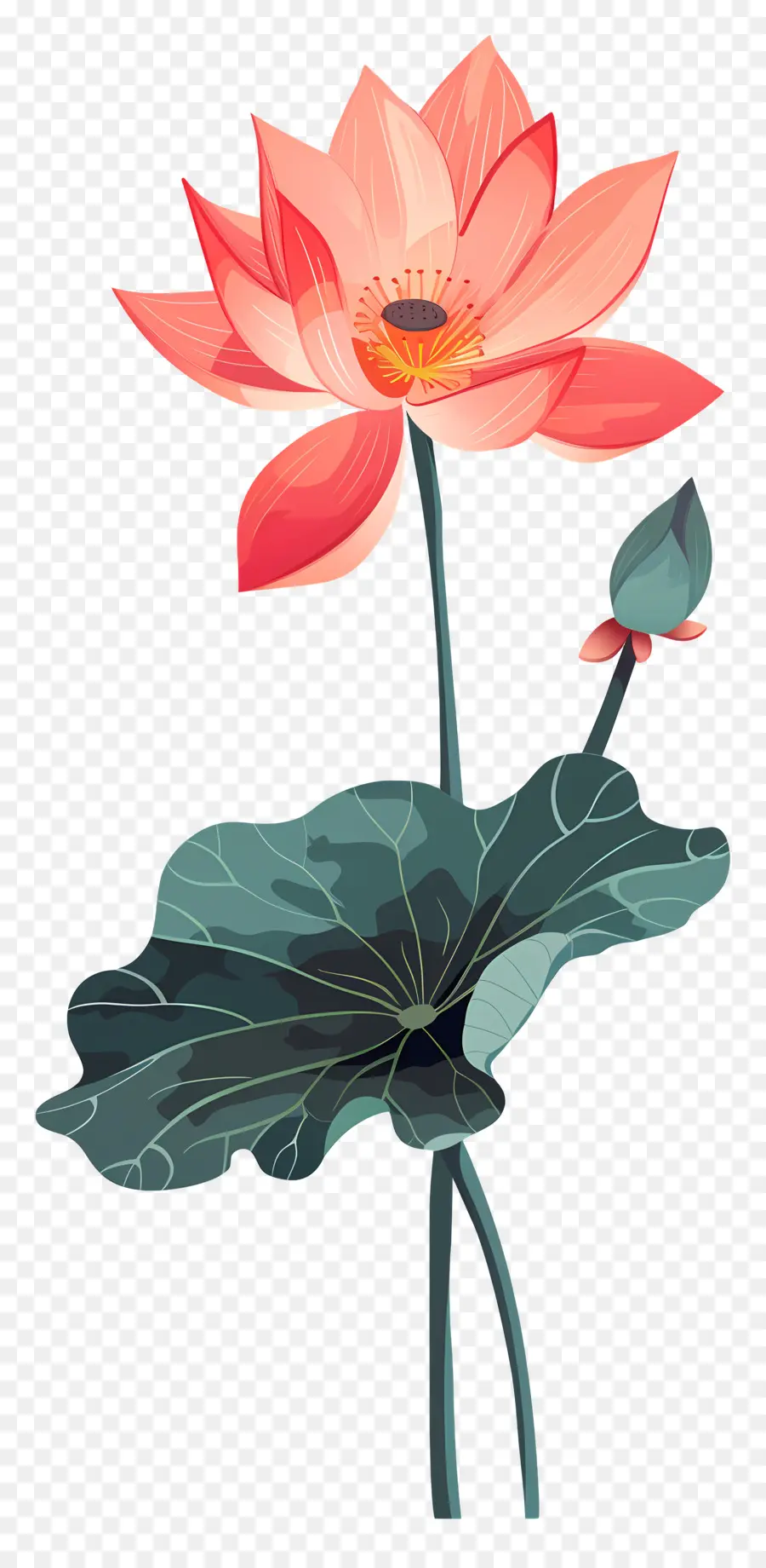 Flor De Loto，Rojo Lotus PNG