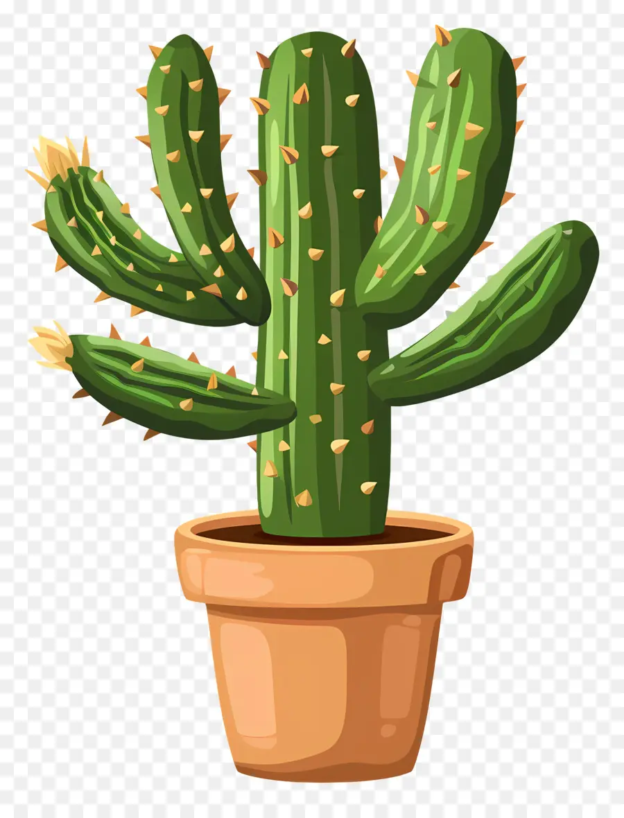 Cactus En Maceta，Cactus PNG