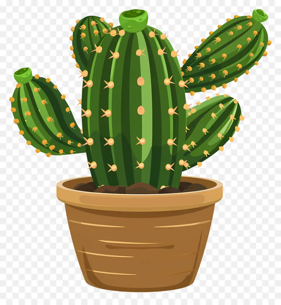 Cactus En Maceta，Planta De Cactus PNG