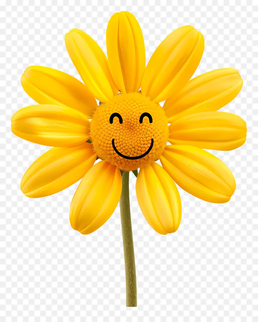 Flor，Emoji PNG