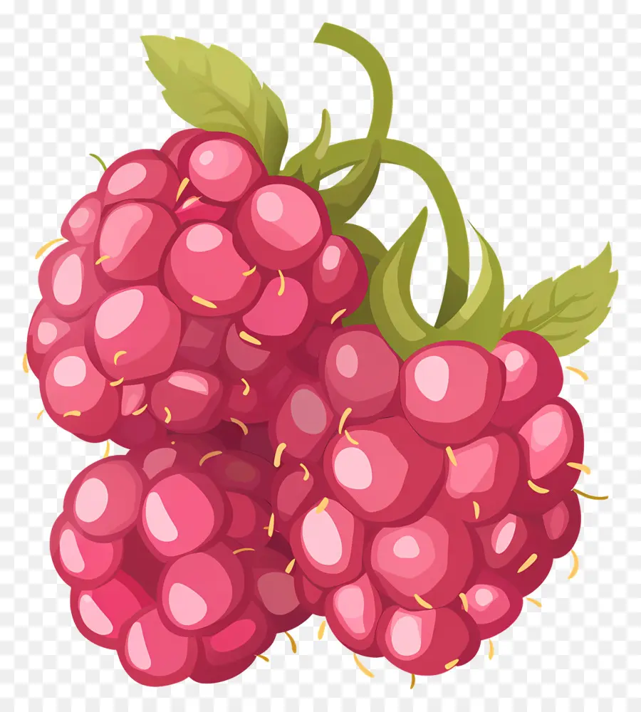 Frambuesas，La Fruta PNG