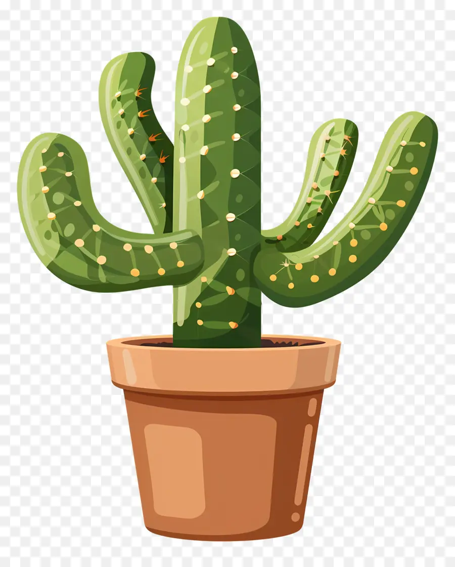 Cactus En Maceta，Cactus PNG