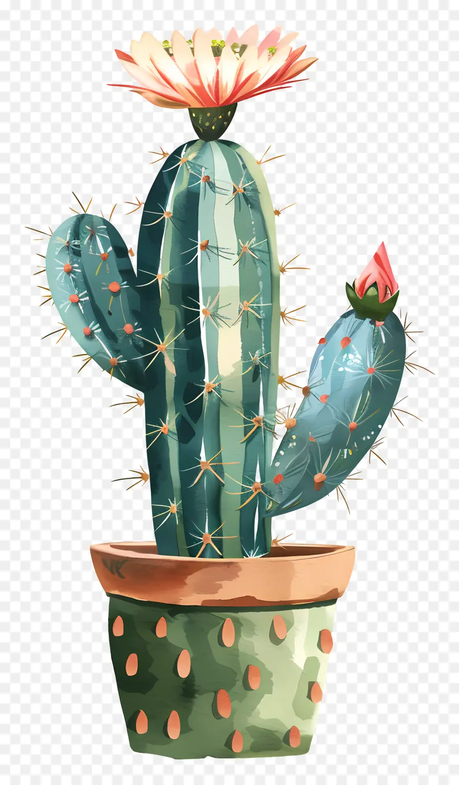 Cactus，Flor PNG