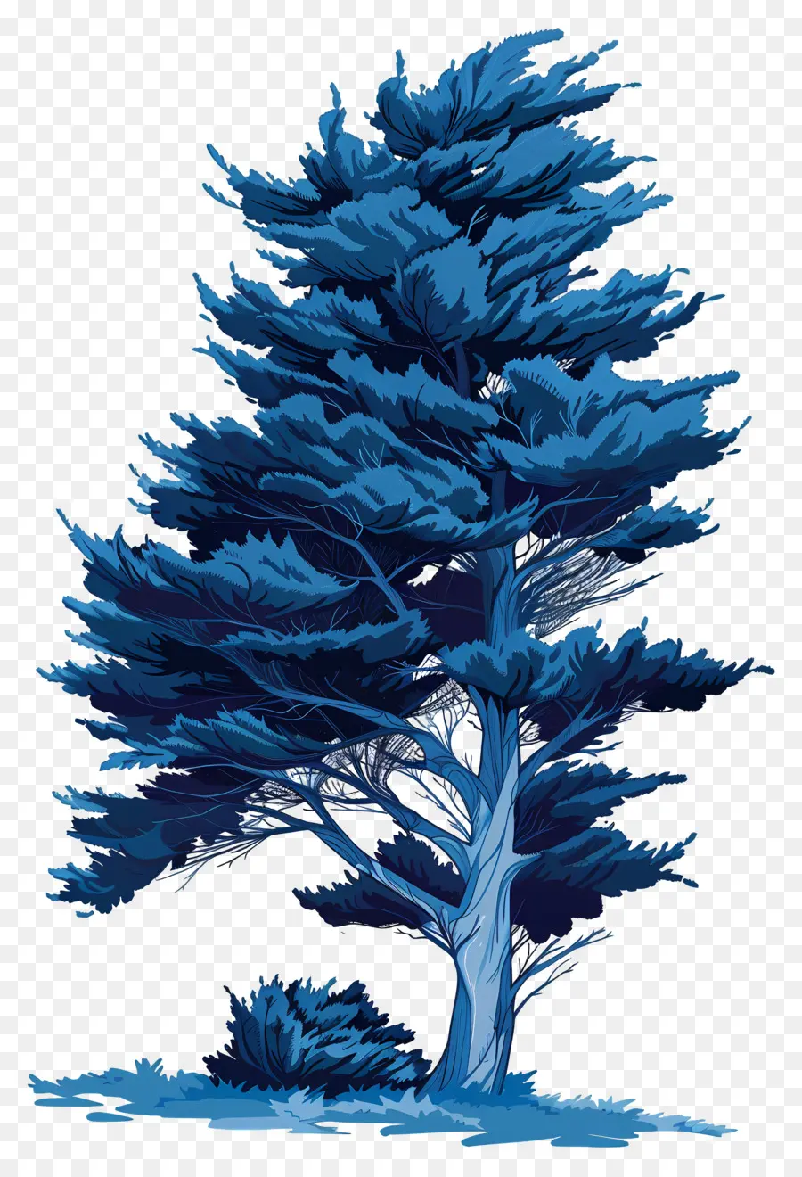 Ciprés，árbol Azul PNG