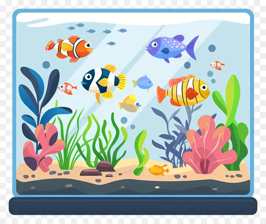 Acuario，Los Peces PNG