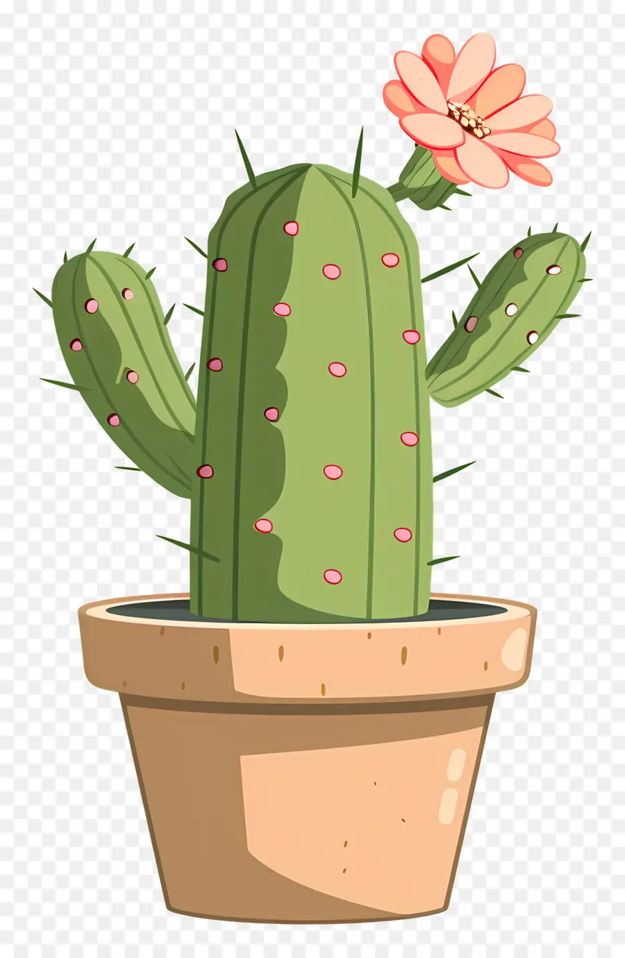 Cactus，Planta De Cactus PNG