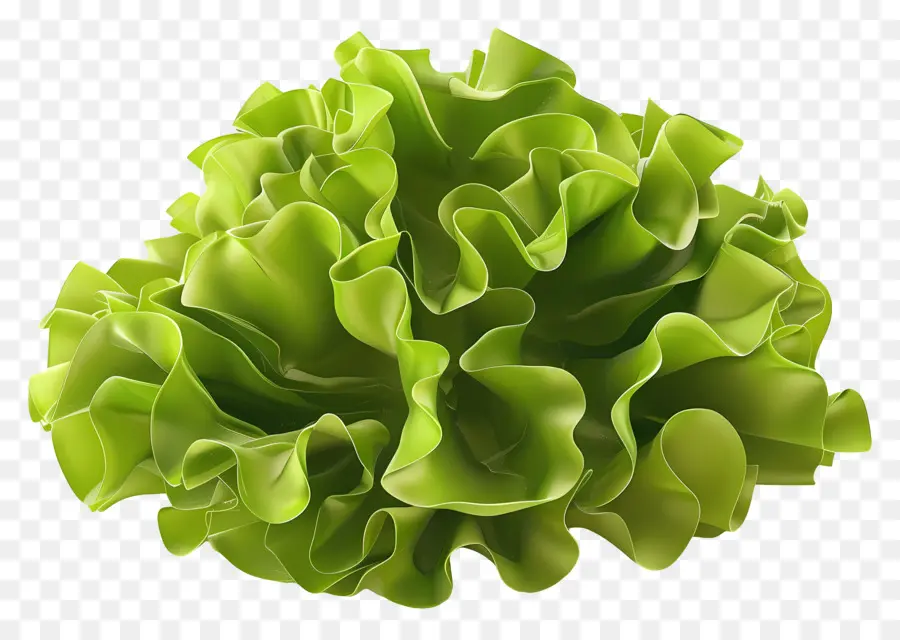 Lechuga，Vegetales De Hoja PNG