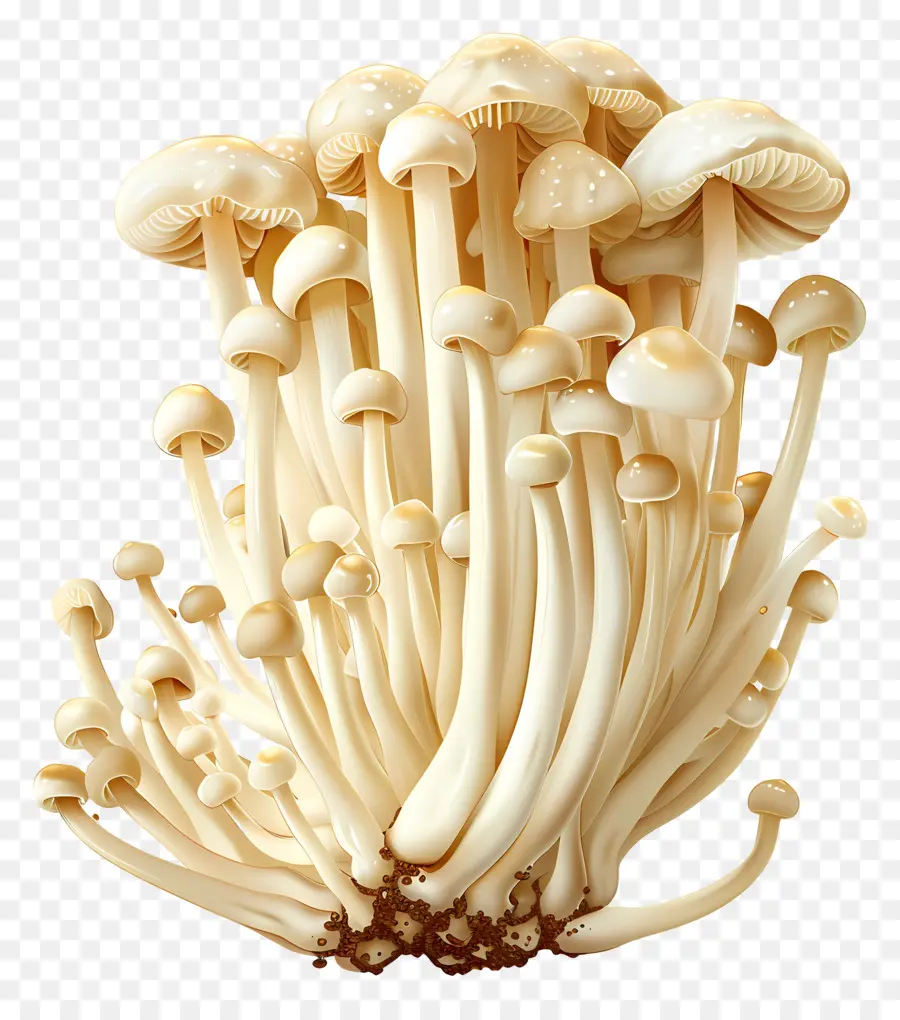 Setas Enoki，Champiñones Blancos PNG