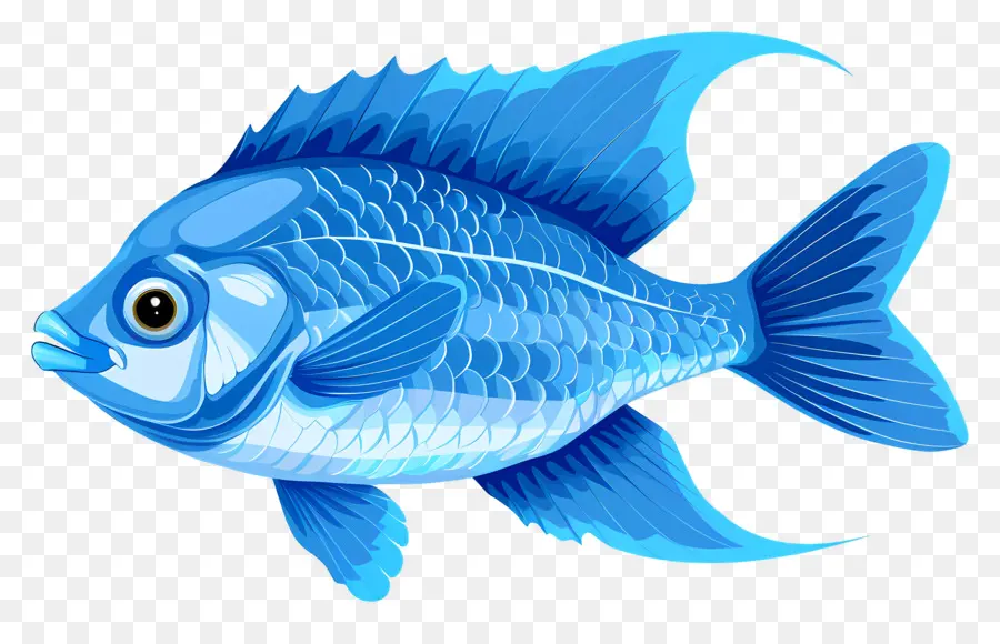 Los Peces，Pescado Azul PNG