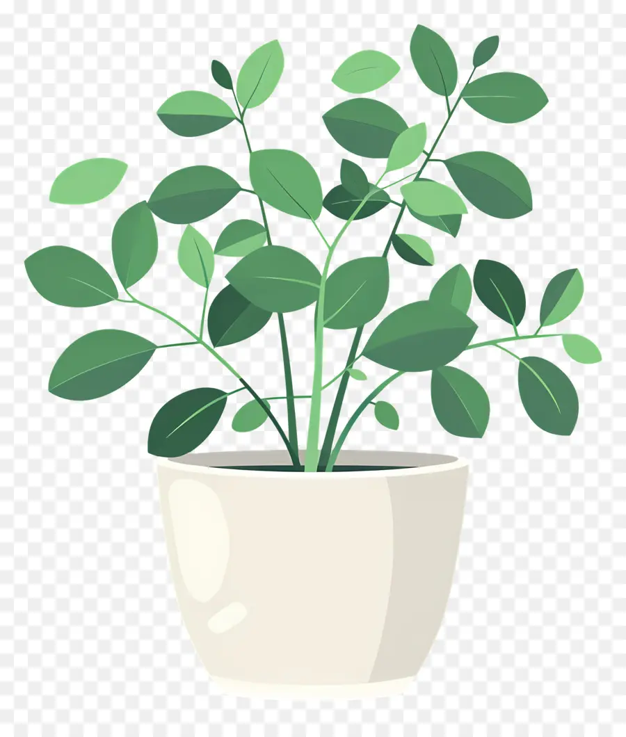 Planta En Maceta，Planta De Maceta PNG