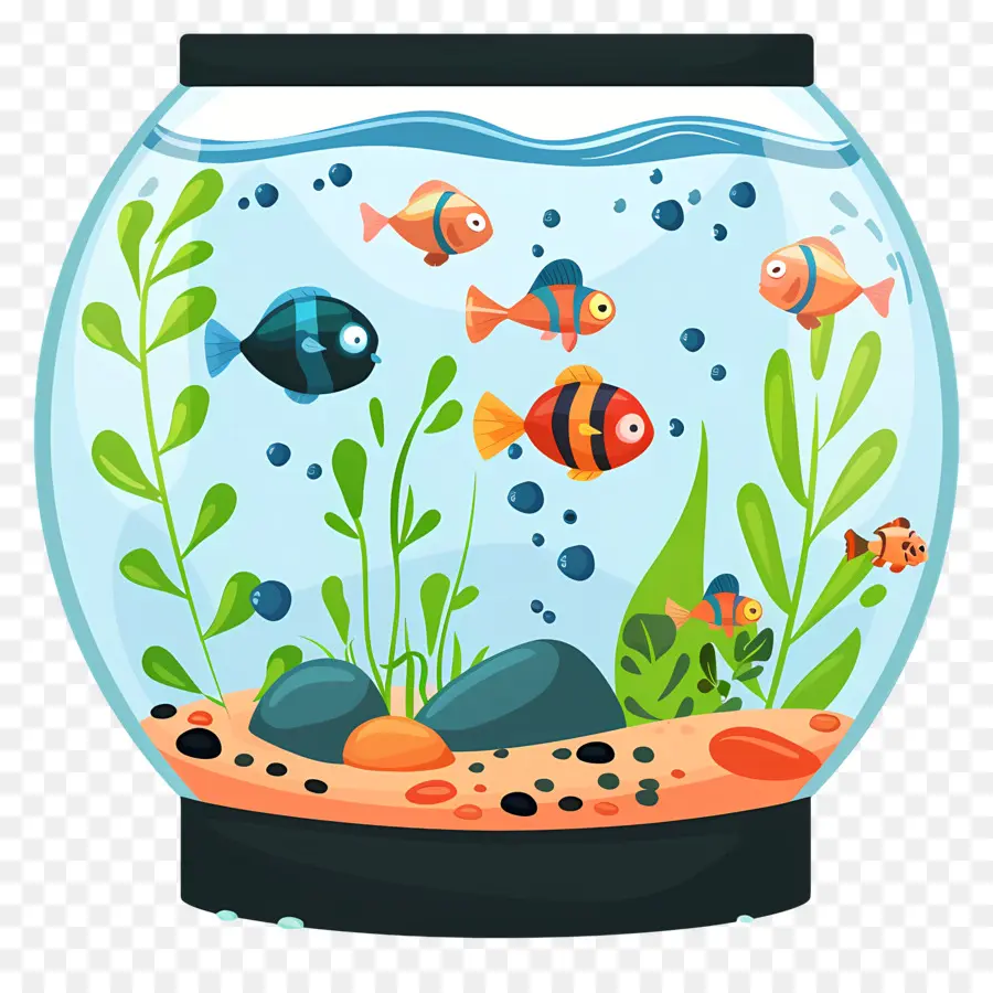 Acuario，Pecera PNG