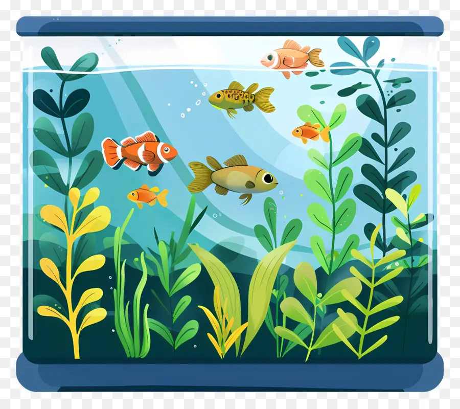 Acuario，Tanque De Peces PNG