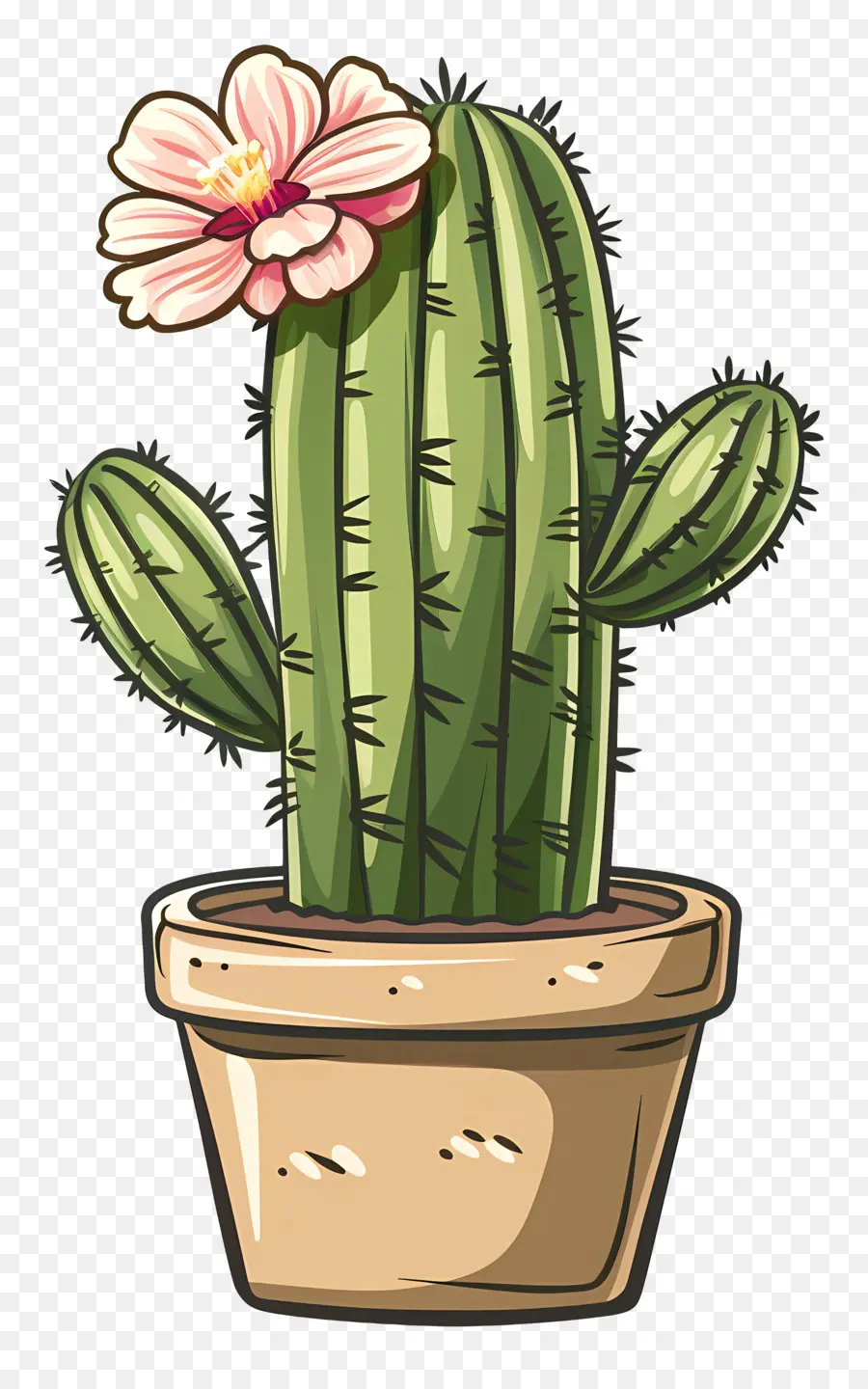 Cactus，Planta De Cactus PNG