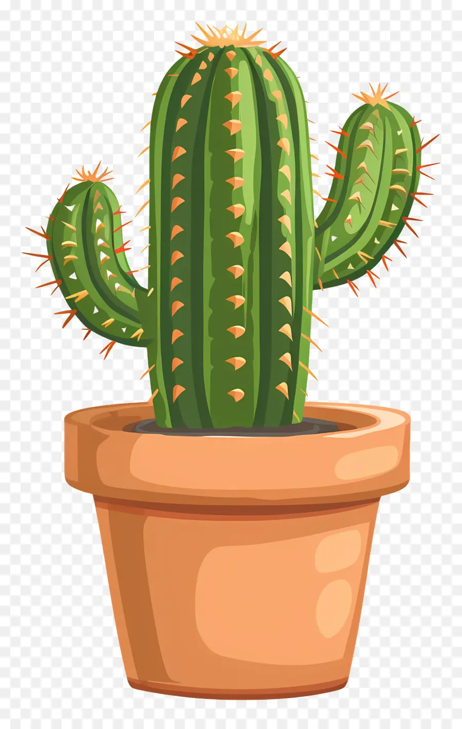 Cactus En Maceta，Cactus PNG