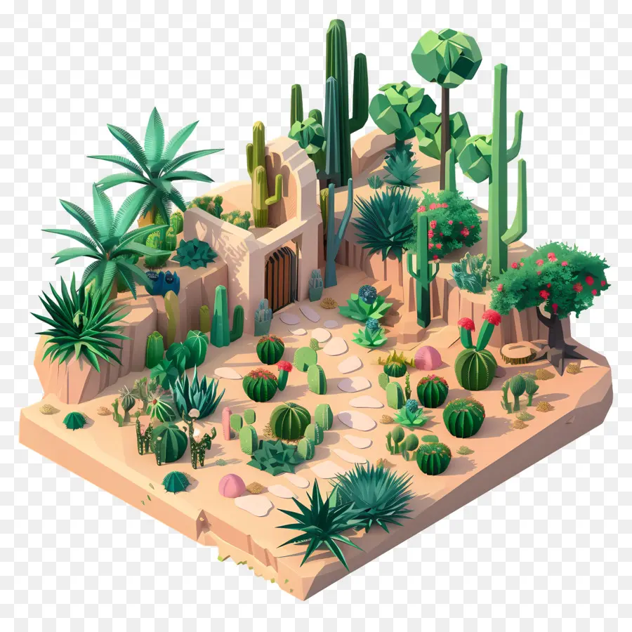 Jardín Del Desierto，Cactus PNG