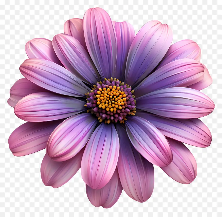 Flor，Florecer PNG