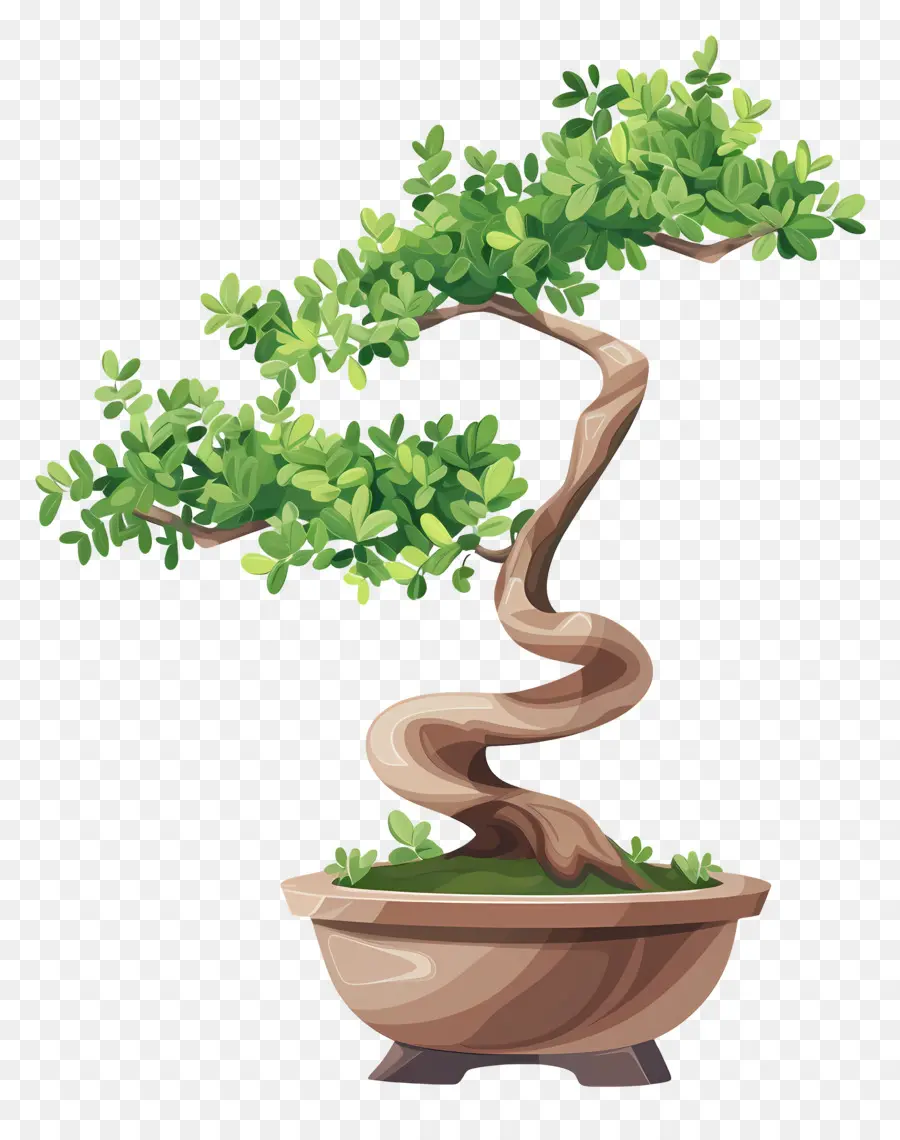 Árbol Bonsái，Miniatura PNG