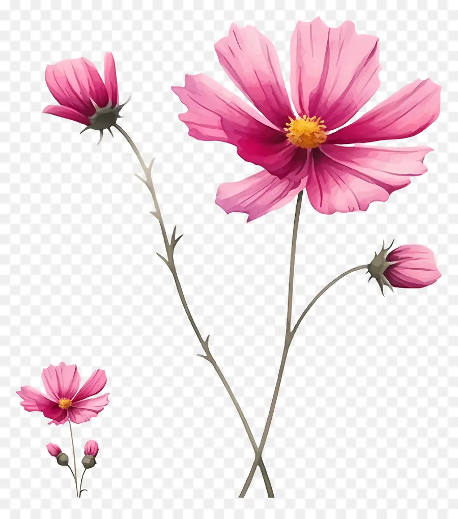 Flor，Emoji PNG