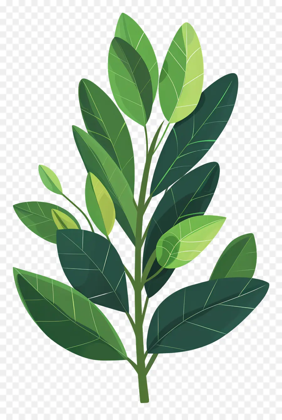 Hoja De Laurel，Planta PNG